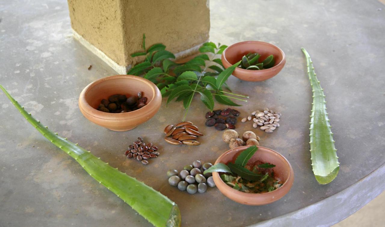Nature Lanka Ayurveda Resort - All Meals And Ayurveda Treatments With Yoga تانجالي المظهر الخارجي الصورة