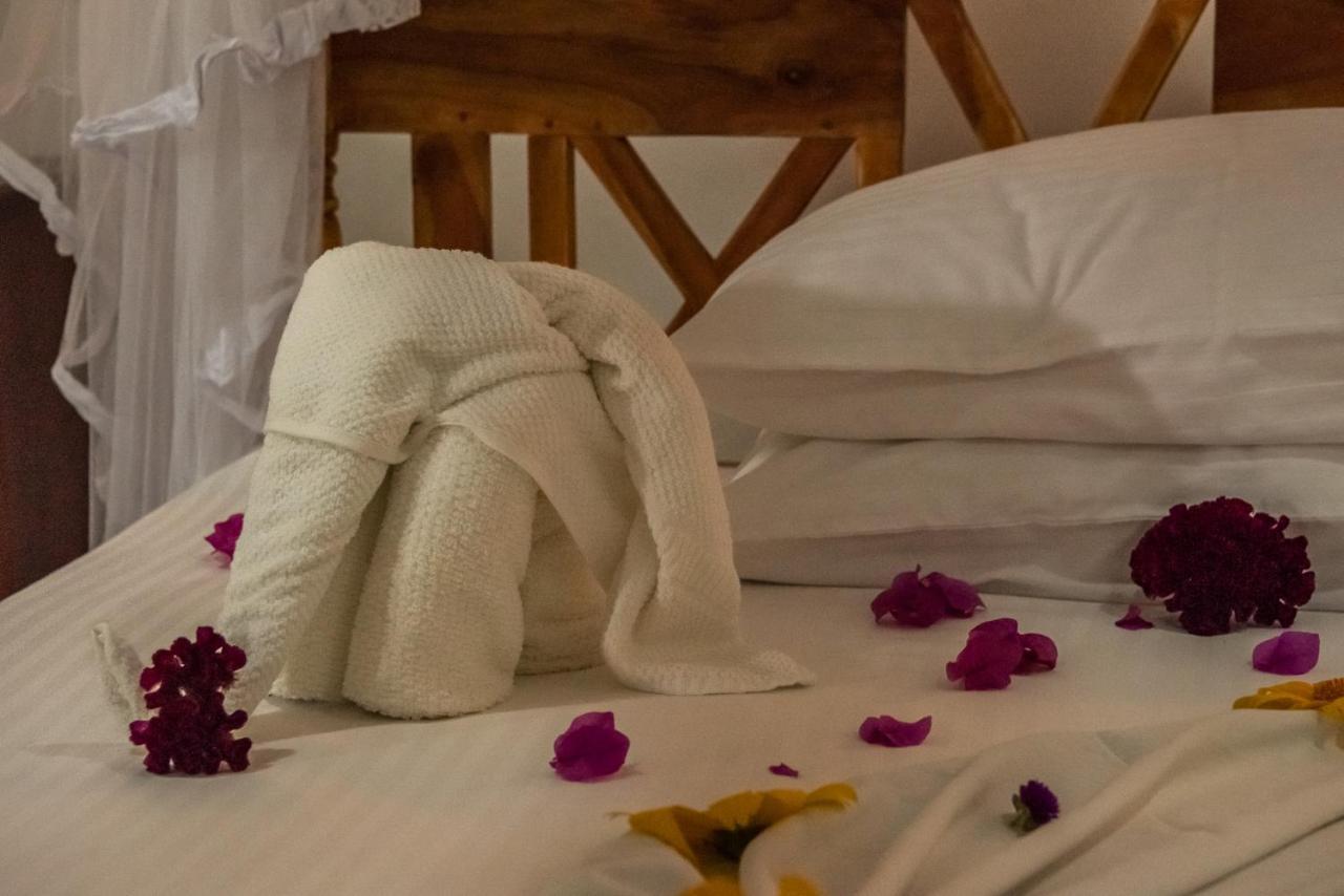 Nature Lanka Ayurveda Resort - All Meals And Ayurveda Treatments With Yoga تانجالي المظهر الخارجي الصورة