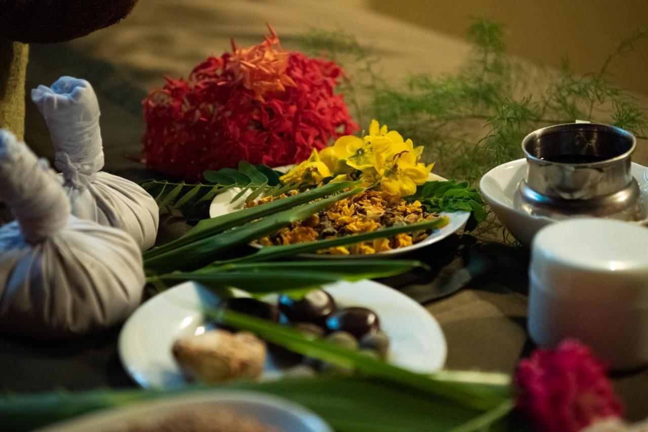 Nature Lanka Ayurveda Resort - All Meals And Ayurveda Treatments With Yoga تانجالي المظهر الخارجي الصورة