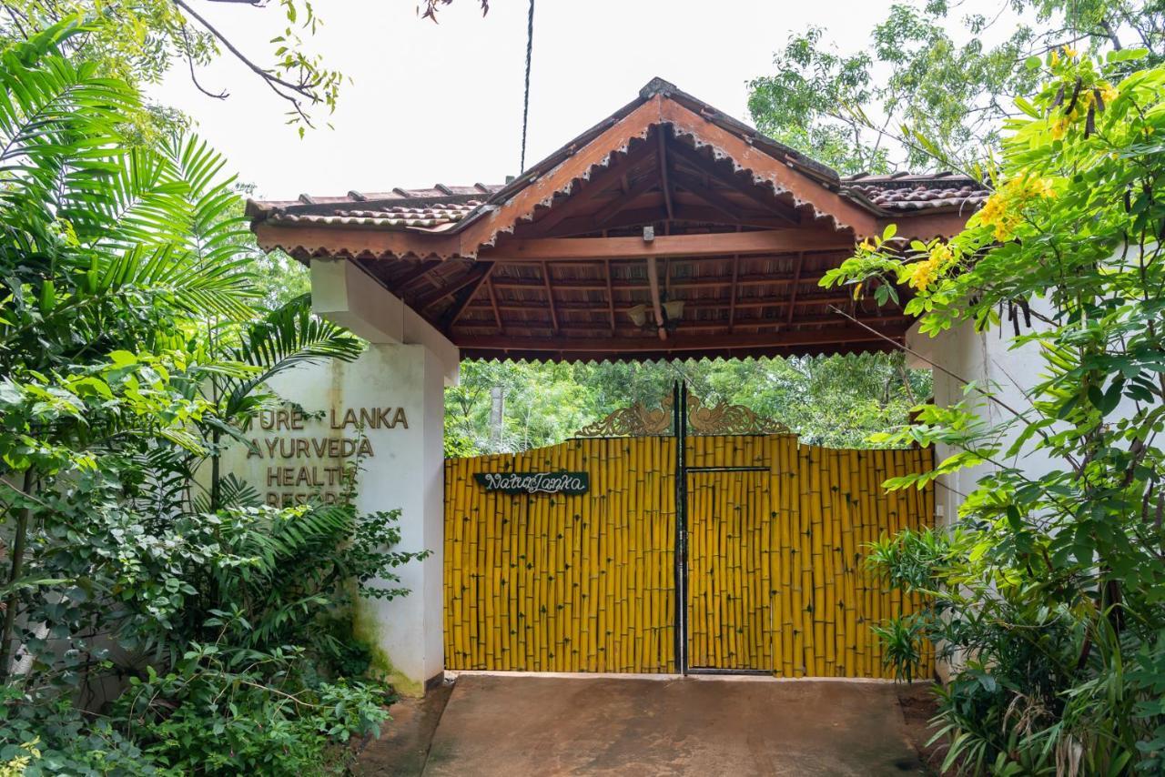 Nature Lanka Ayurveda Resort - All Meals And Ayurveda Treatments With Yoga تانجالي المظهر الخارجي الصورة