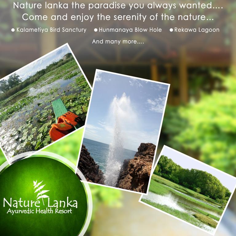 Nature Lanka Ayurveda Resort - All Meals And Ayurveda Treatments With Yoga تانجالي المظهر الخارجي الصورة