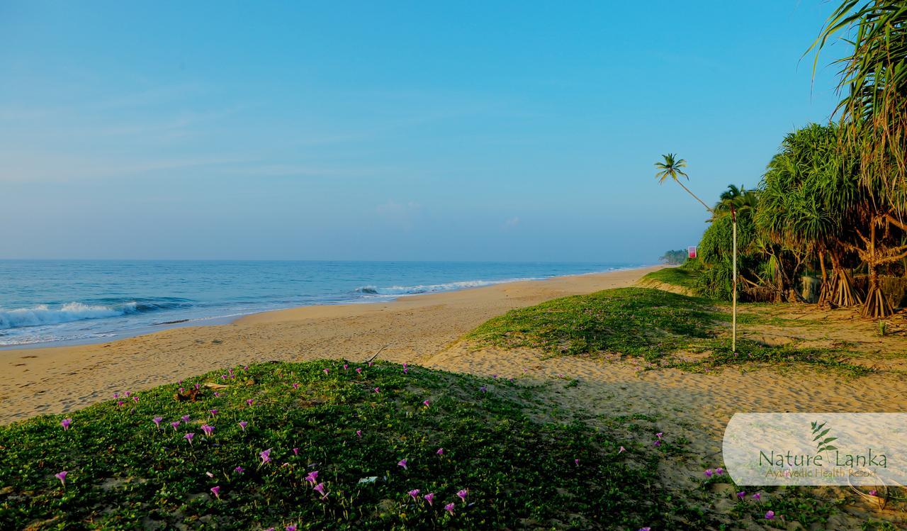 Nature Lanka Ayurveda Resort - All Meals And Ayurveda Treatments With Yoga تانجالي المظهر الخارجي الصورة