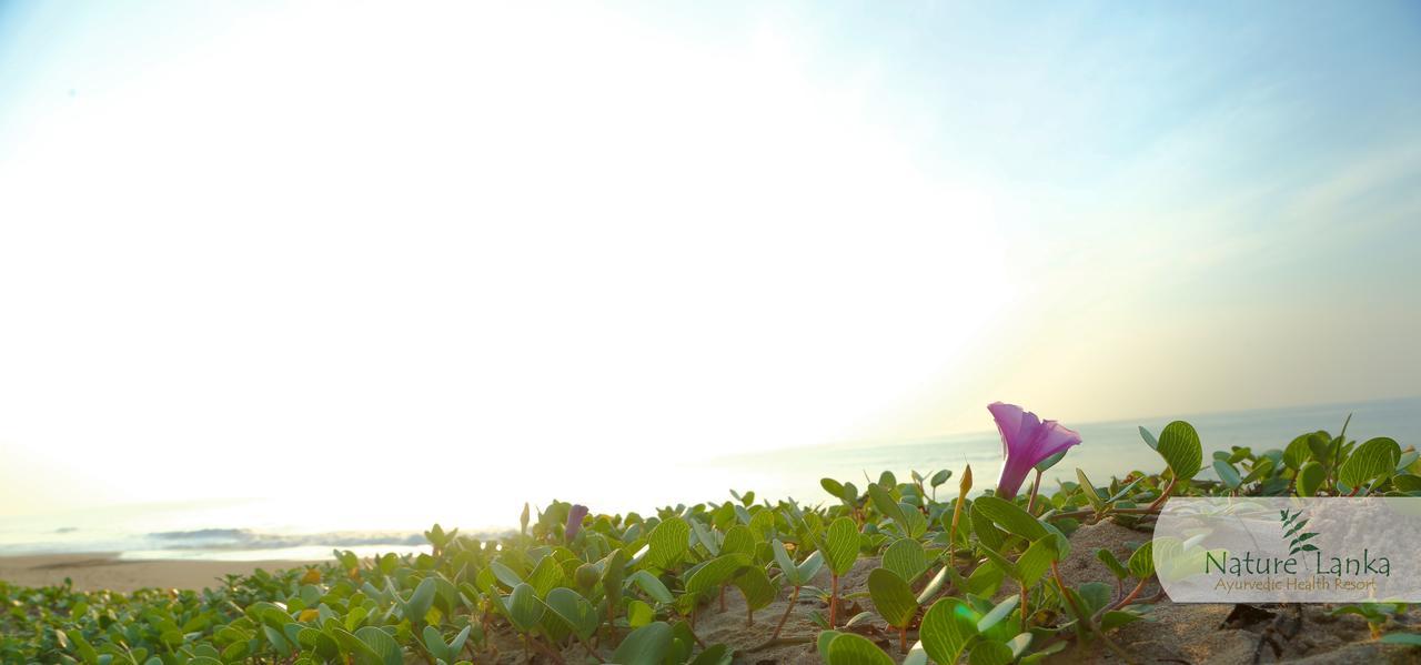 Nature Lanka Ayurveda Resort - All Meals And Ayurveda Treatments With Yoga تانجالي المظهر الخارجي الصورة