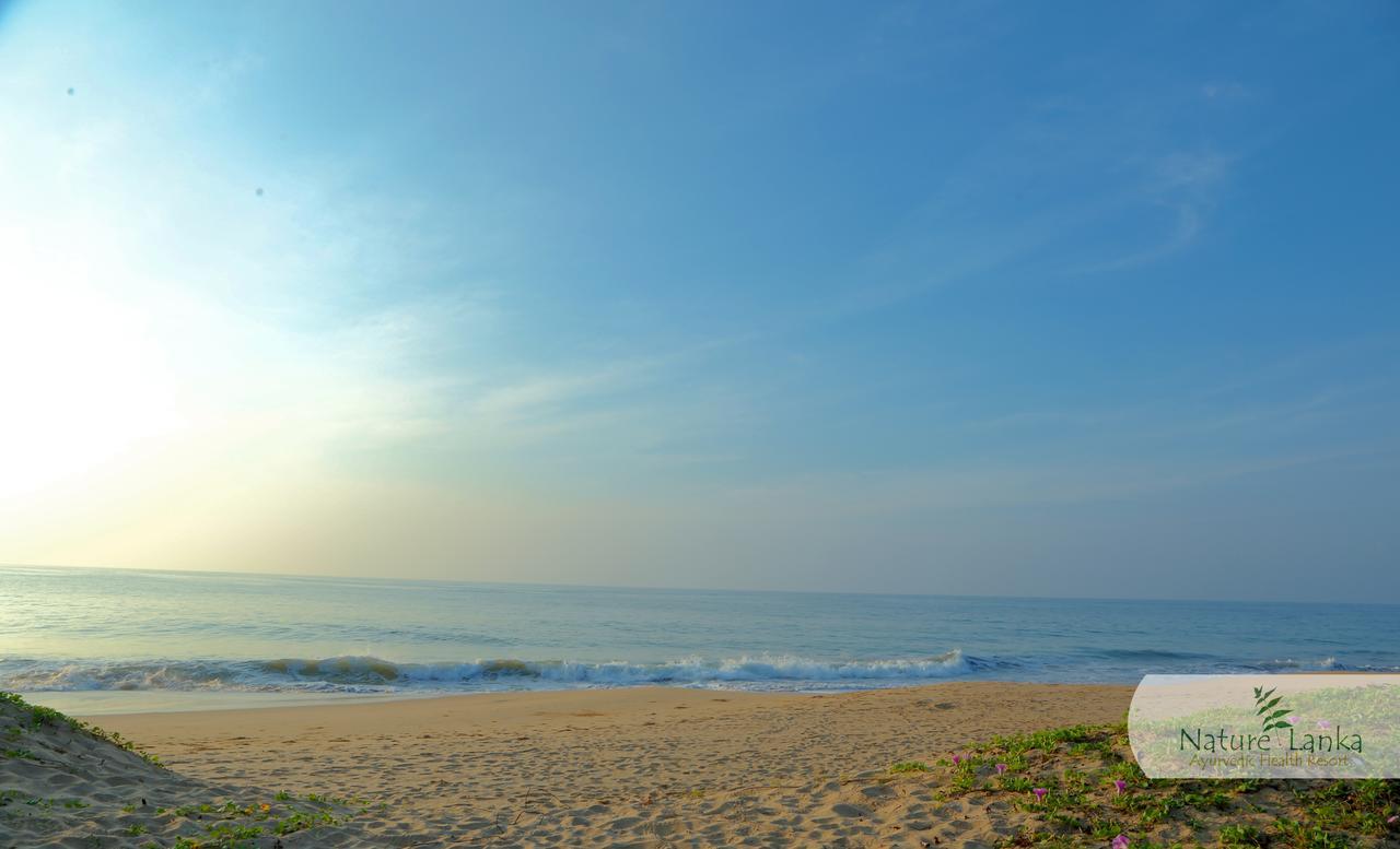 Nature Lanka Ayurveda Resort - All Meals And Ayurveda Treatments With Yoga تانجالي المظهر الخارجي الصورة