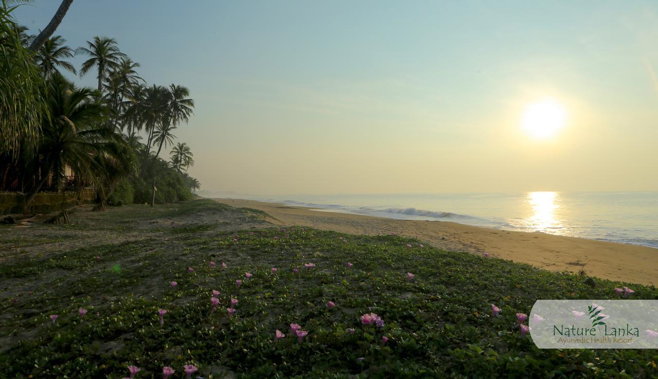 Nature Lanka Ayurveda Resort - All Meals And Ayurveda Treatments With Yoga تانجالي المظهر الخارجي الصورة