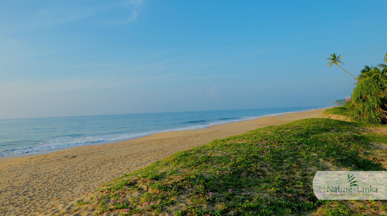 Nature Lanka Ayurveda Resort - All Meals And Ayurveda Treatments With Yoga تانجالي المظهر الخارجي الصورة